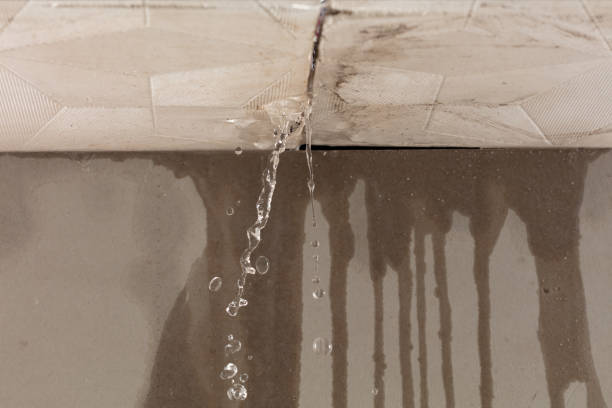 Professional Structural Drying technician working in Mount Calvary, WI